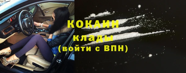 дживик Белокуриха