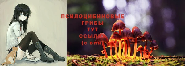 дживик Белокуриха