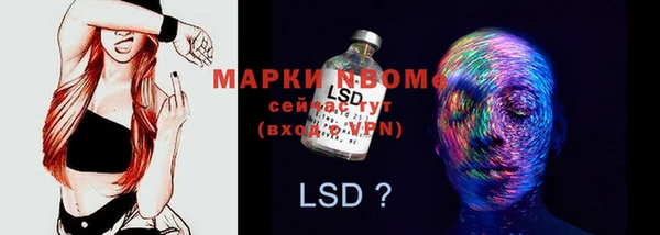 дживик Белокуриха