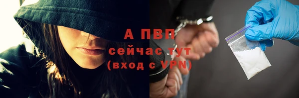 дживик Белокуриха