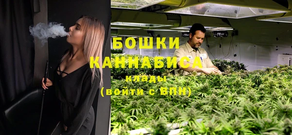 дживик Белокуриха