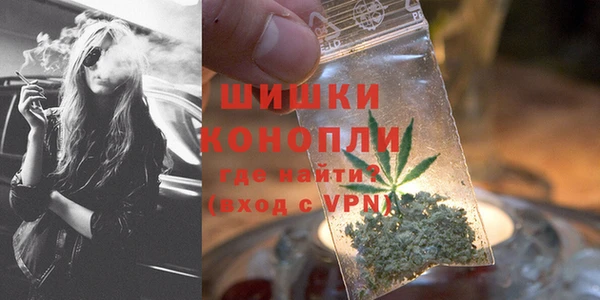 дживик Белокуриха