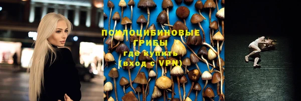 spice Белоозёрский