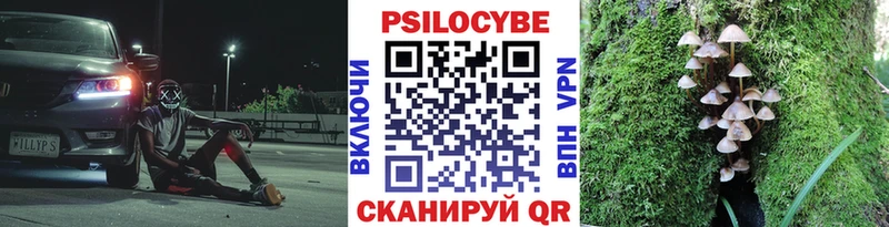 Псилоцибиновые грибы Psilocybine cubensis  Купить  Нижнеудинск 