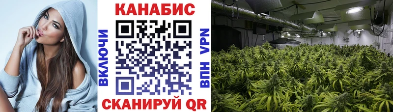 Марихуана индика  Купить закладки  Нижнеудинск 